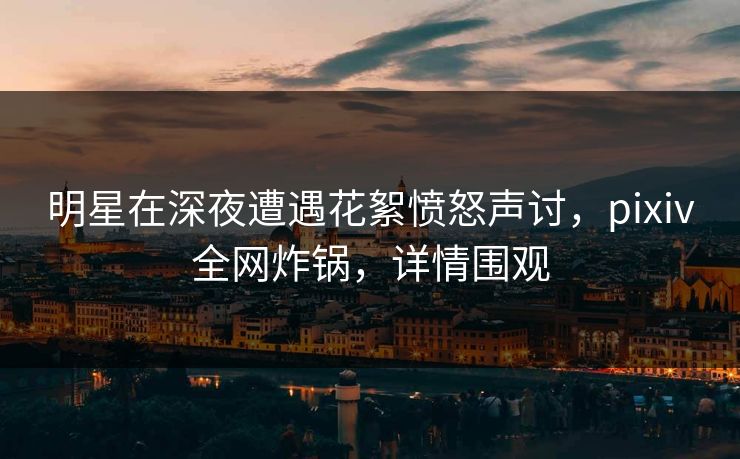 明星在深夜遭遇花絮愤怒声讨，pixiv全网炸锅，详情围观