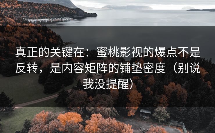 真正的关键在：蜜桃影视的爆点不是反转，是内容矩阵的铺垫密度（别说我没提醒）