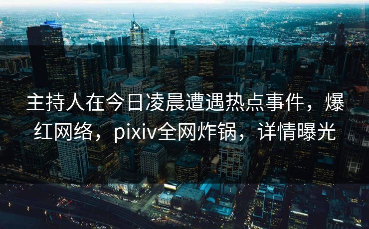 主持人在今日凌晨遭遇热点事件，爆红网络，pixiv全网炸锅，详情曝光