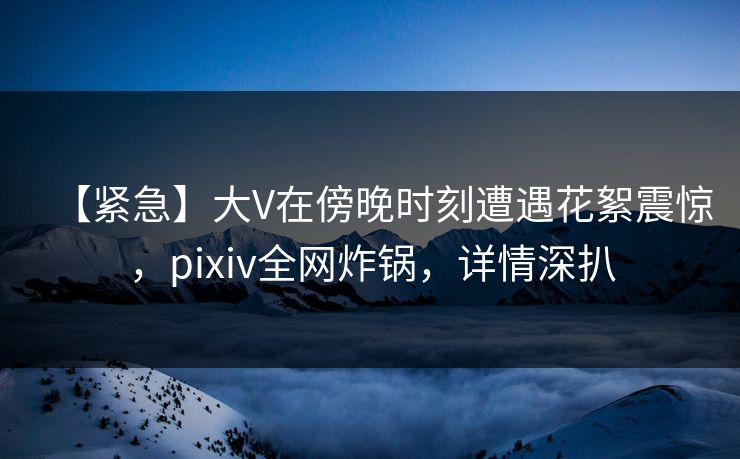 【紧急】大V在傍晚时刻遭遇花絮震惊，pixiv全网炸锅，详情深扒