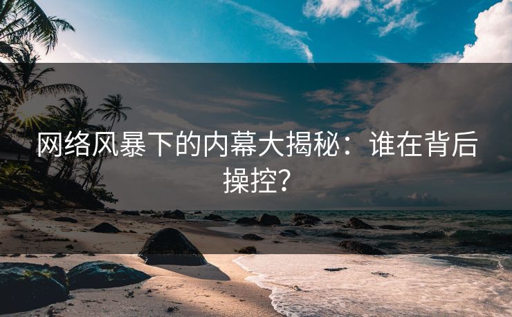 网络风暴下的内幕大揭秘：谁在背后操控？